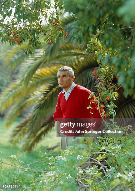 Actor Jeff Chandler Standing Among Bushes