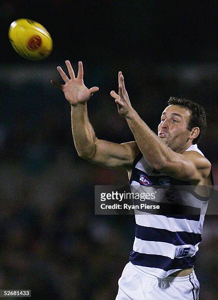 Brad Ottens for the Cats in action during the round five AFL match between the Port Adelaide Power and the Geelong Cats at AAMI Stadium on April 22,...