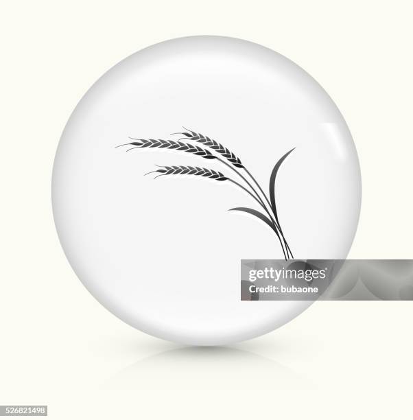 wheat icon on white round vector button - yield curve stock illustrations