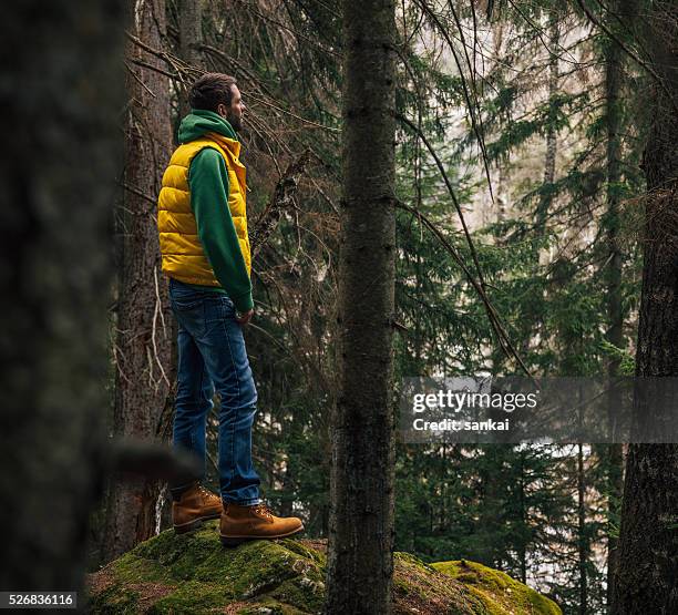 viajero de pie en una gran roca en el bosque - vest fotografías e imágenes de stock