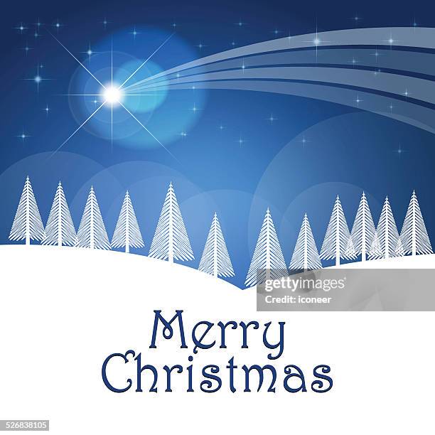 winter and christmas landscape with a comet at night - blurred forest background stock illustrations