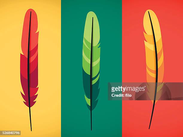 feathers - quill pen stock illustrations