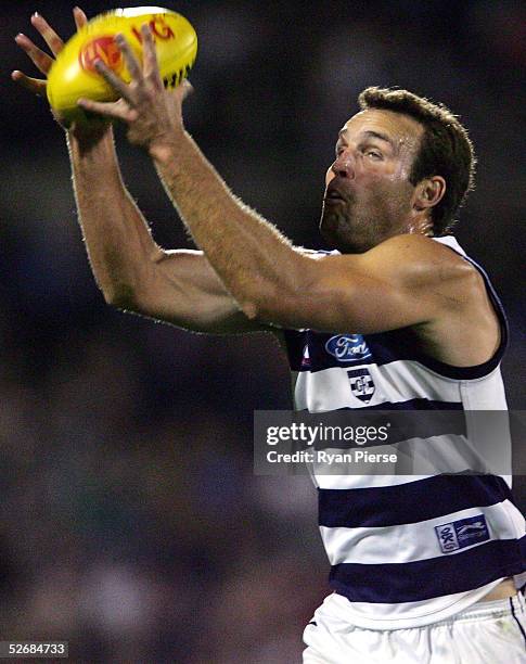 Brad Ottens for the Cats in action during the round five AFL match between the Port Adelaide Power and the Geelong Cats at AAMI Stadium on April 22,...
