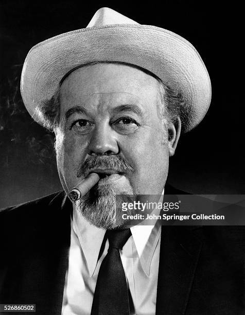 Motion Picture Actor Burl Ives