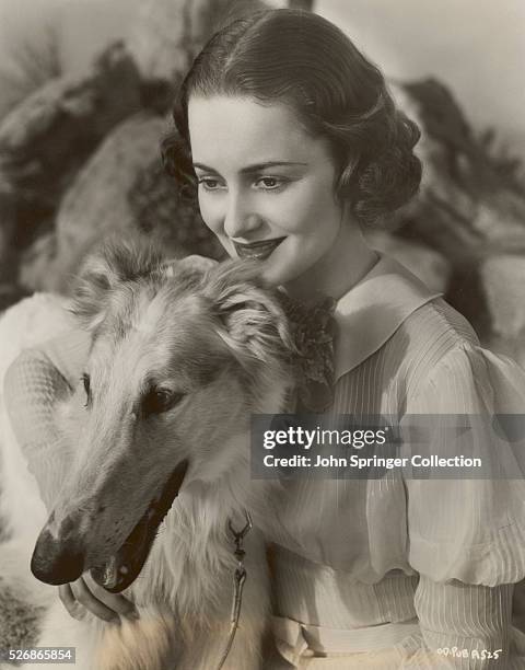 Promotional portrait, for Warner Bros Studios, of actress Olivia de Havilland posing with a Borzoi dog, Riverside, California, 1937.