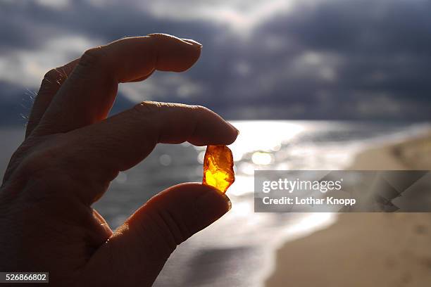 baltic amber blazing in the sunlight - amber stock pictures, royalty-free photos & images