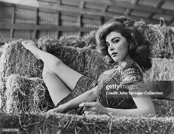 Actress Tina Louise Reclining on Hay Bales