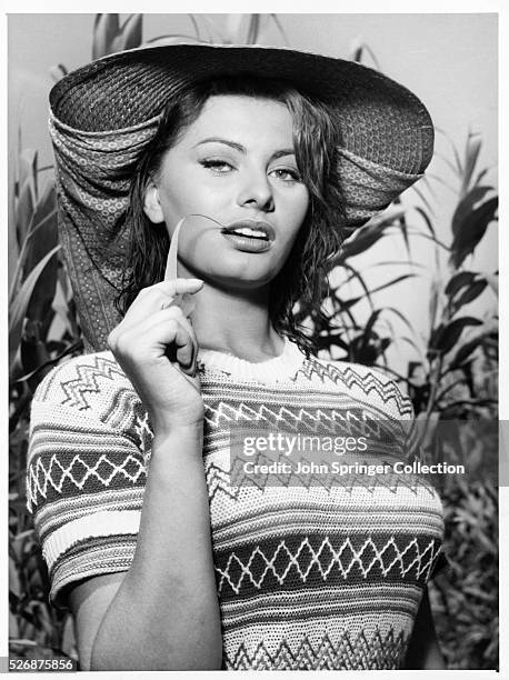 431 Sophia Loren Young Stock Photos, High-Res Pictures, and Images