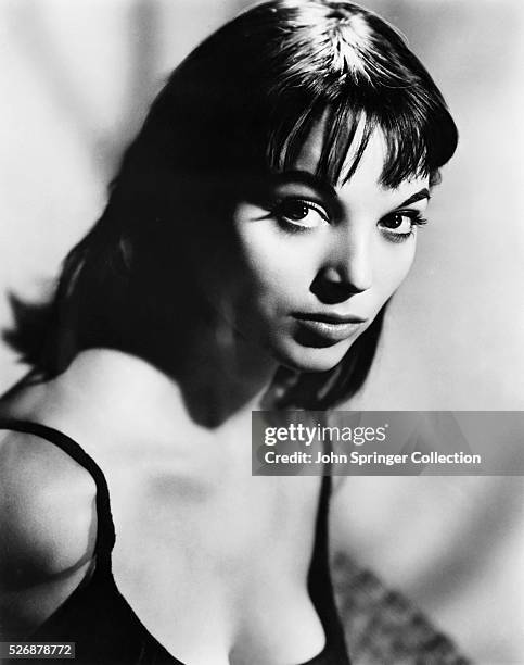 Actress Elsa Martinelli