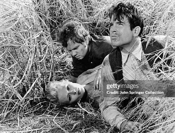 Moss Bonnie Parker and Clyde Barrow hiding in a field while on the run in the 1967 film Bonnie and Clyde.