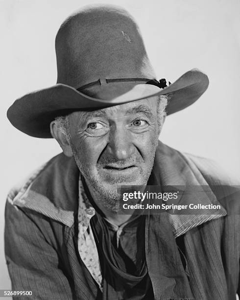 Walter Raney Actor 57 Actor Walter Brennan Stock Photos, High-Res Pictures, and Images ...