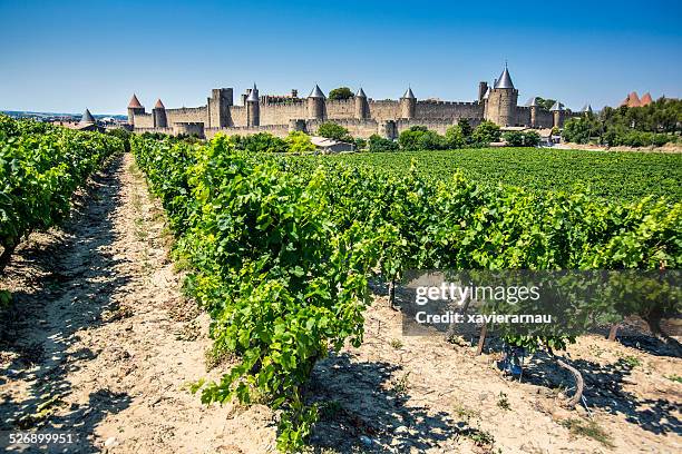 carcassonne - roussillon stock pictures, royalty-free photos & images