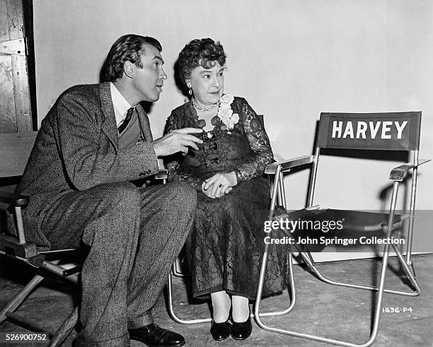 Harvey The Rabbit Photos and Premium High Res Pictures - Getty Images