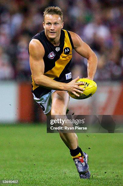 Nathan Brown for the Tigers in action during the round five AFL match between the St.Kilda Saints and the Richmond Tigers at the Telstra Dome on...