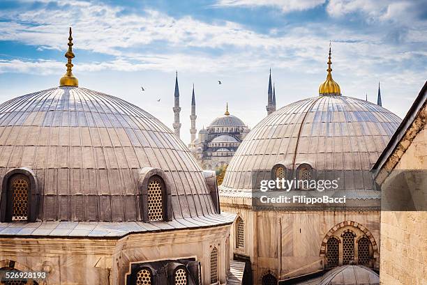 blue mosque and aya sofya, istanbul - blue mosque 個照片及圖片檔