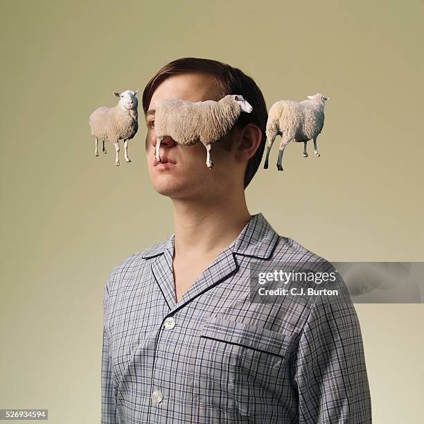 man counting sheep - contare foto e immagini stock