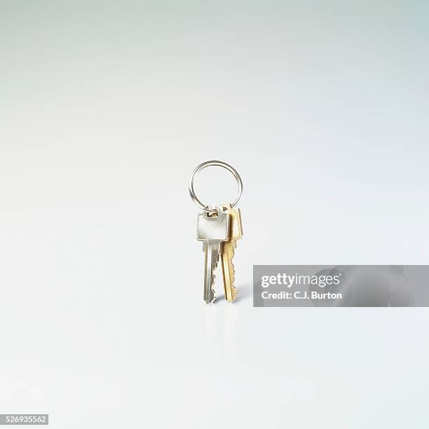 pair of keys - key ring stock pictures, royalty-free photos & images