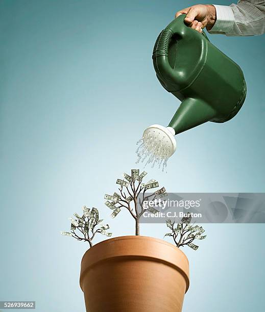 man watering plants with note leaves - watering pot stock pictures, royalty-free photos & images