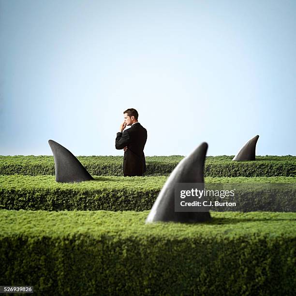 sharks hidden in hedge surrounding pensive businessman - hidden danger stock pictures, royalty-free photos & images