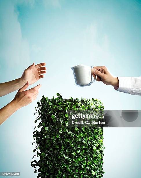 human hands over hedge, one holding mug full of sugar - buren stockfoto's en -beelden