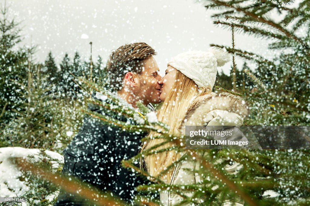 Young couple in love kissing between Christmas trees, Bavaria, Germany