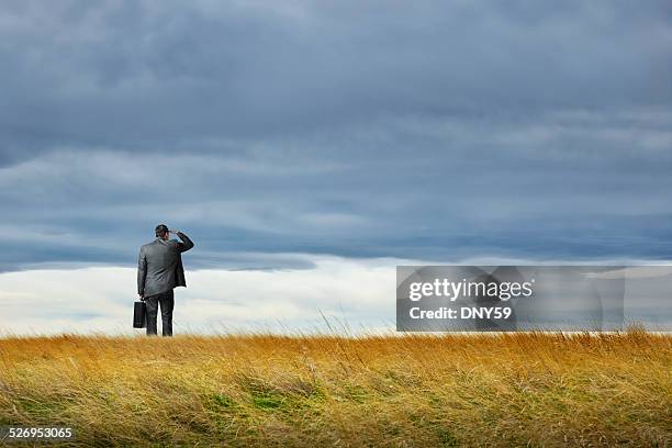 businessman searching in a field - futility stock pictures, royalty-free photos & images