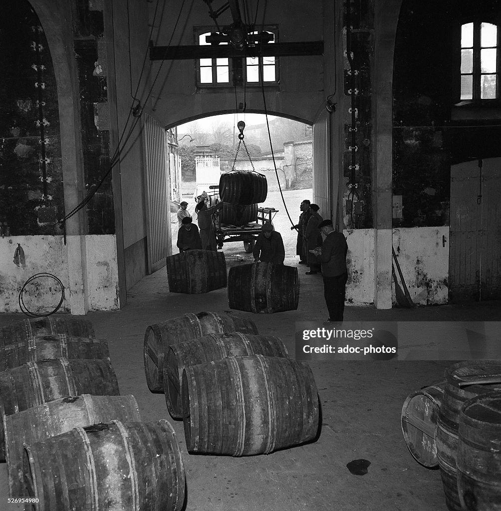 Barrels handling at the Martell cognac house in Cognac (Charente, France). In 1953.