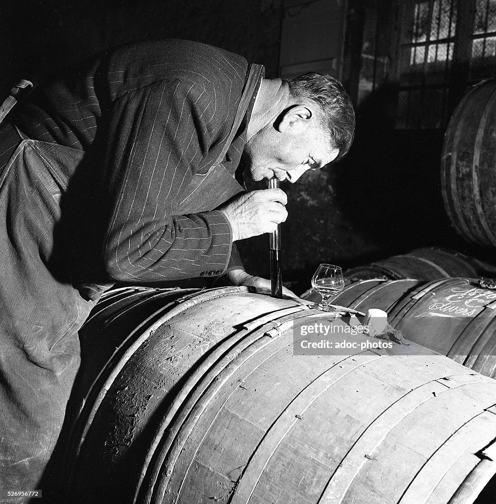 The Martell cognac house in Cognac (Charente, France). Control of aging. In 1953.
