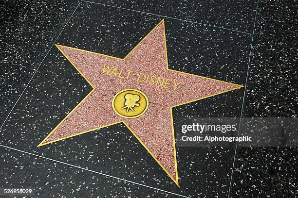 star on walk of fame - disney stock pictures, royalty-free photos & images