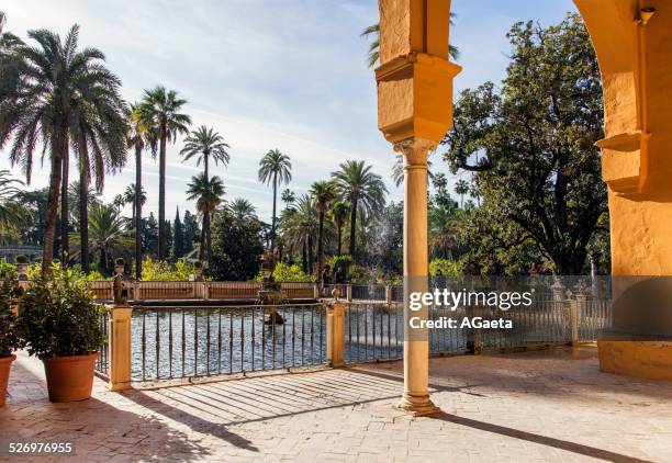 siviglia, spagna, alcazar - visita reale - fotografias e filmes do acervo