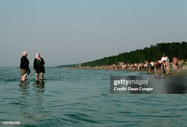 Holidayers enjoying an evening wade at Jurmala beach in the Baltic Sea near Riga.