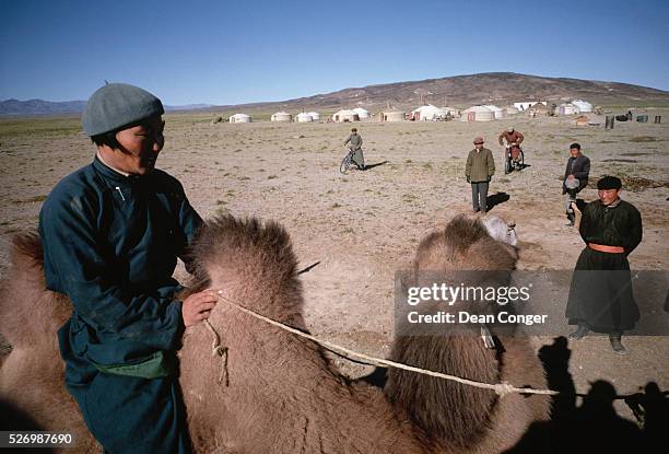 Mongolian man rides a Bactrian camel near a village of yurts on the Gobi in Mongolia. Fellow villagers stand watching or try to ride their bicycles...