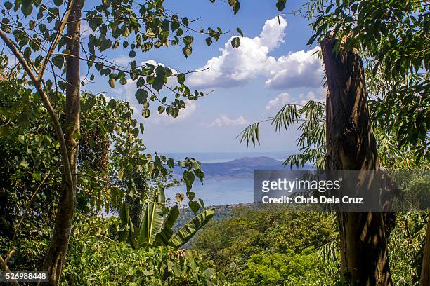 lush green trees framing taal lake and volcano - tagaytay stock pictures, royalty-free photos & images