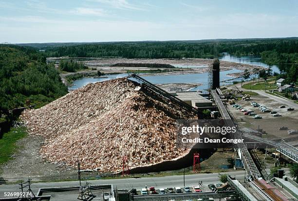 Pile of De-barked Logs at Paper Mill