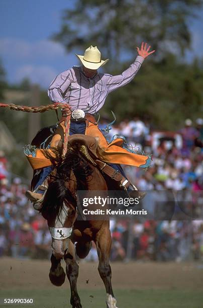 Pendleton Bronc 2,350 Rdo Stock Photos, High-Res Pictures, and Images - Getty Images