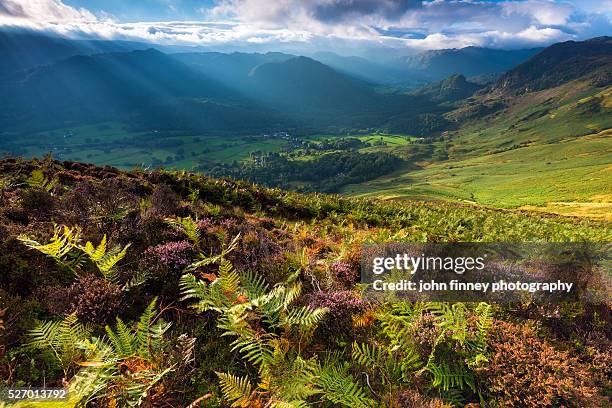 barrowdale valley from above with autumn bracken. lake district national park. uk. europe. - keswick 個照片及圖片檔