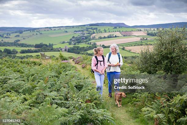 walking with my grandmother - woodland uk stock pictures, royalty-free photos & images