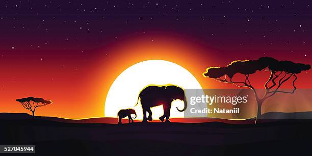african savannah - elephants sunset stock illustrations