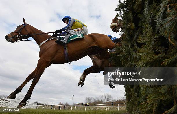 View of Jason Maguire riding Dunowen Point as they clear the Canal Turn fence in the Topham Chase on the second day of The Grand National Meeting at...