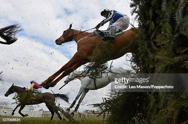 View of horses and riders clearing the Canal Turn fence in the Topham Chase on the second day of The Grand National Meeting at Aintree racecourse...