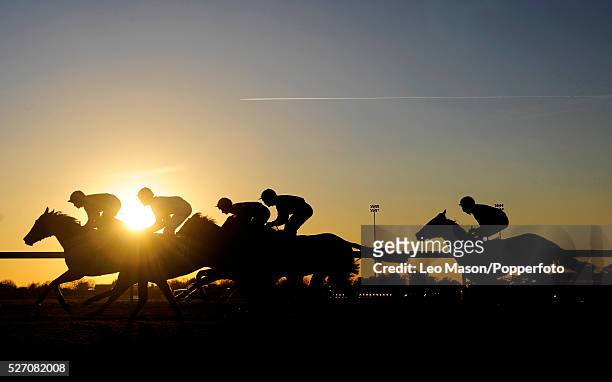 Riders and their horses seen against the setting afternoon sun riding down the track at Kempton Park racecourse near London during a race meeting on...