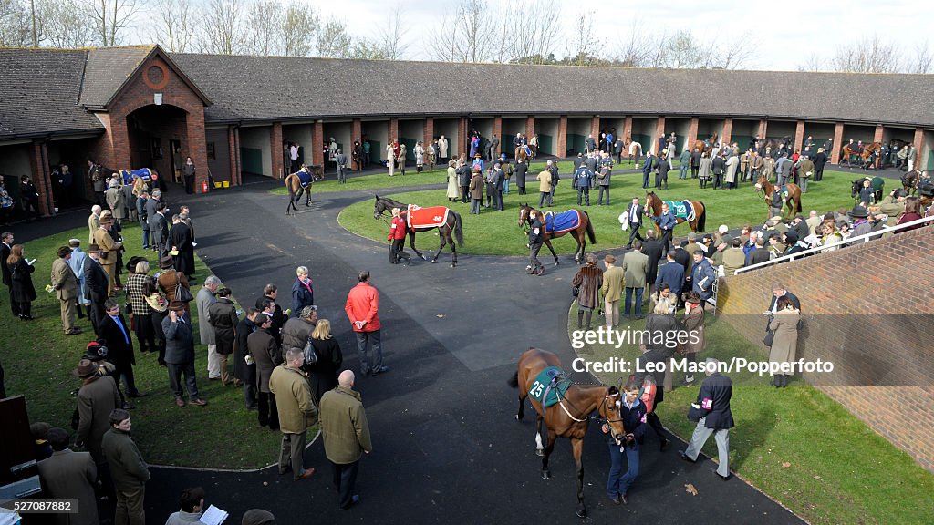 Horse Racing - Cheltenham Festival