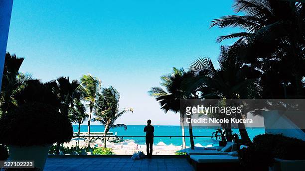 silhouettes - hot puerto rican women stock-fotos und bilder