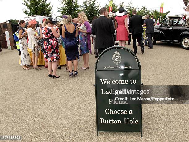 View of racegoers and racing fans preparing to watch the racing on Ladies Day during the 2010 Glorious Goodwood festival at Goodwood racecourse near...