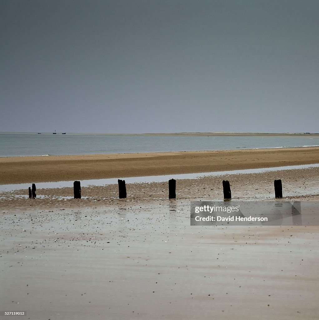 Groyne posts buried in wet sand