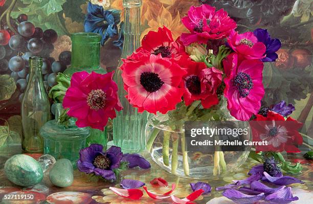 anemone flowers with painted background - ranunculus stock pictures, royalty-free photos & images