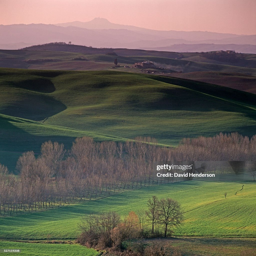 Rural landscape at dawn