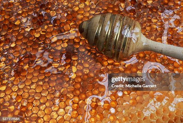 honeycomb rich with honey - honing stockfoto's en -beelden