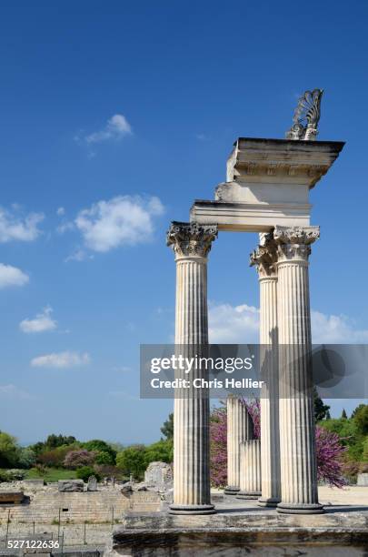 roman temple glanum - corinthian column stock pictures, royalty-free photos & images