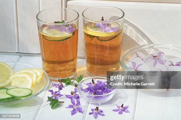 pimm's cocktails and their accoutrements - borage stockfoto's en -beelden